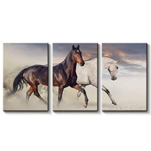 3 Pc Black & White Horse Wall Décor Photo Tiles Elegant Design