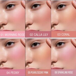 (Pack of 2 ) Color Castle High Pigment Liquid Blush